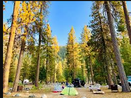 Lodgepole Campground
