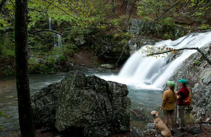 Branch Lake Camping area