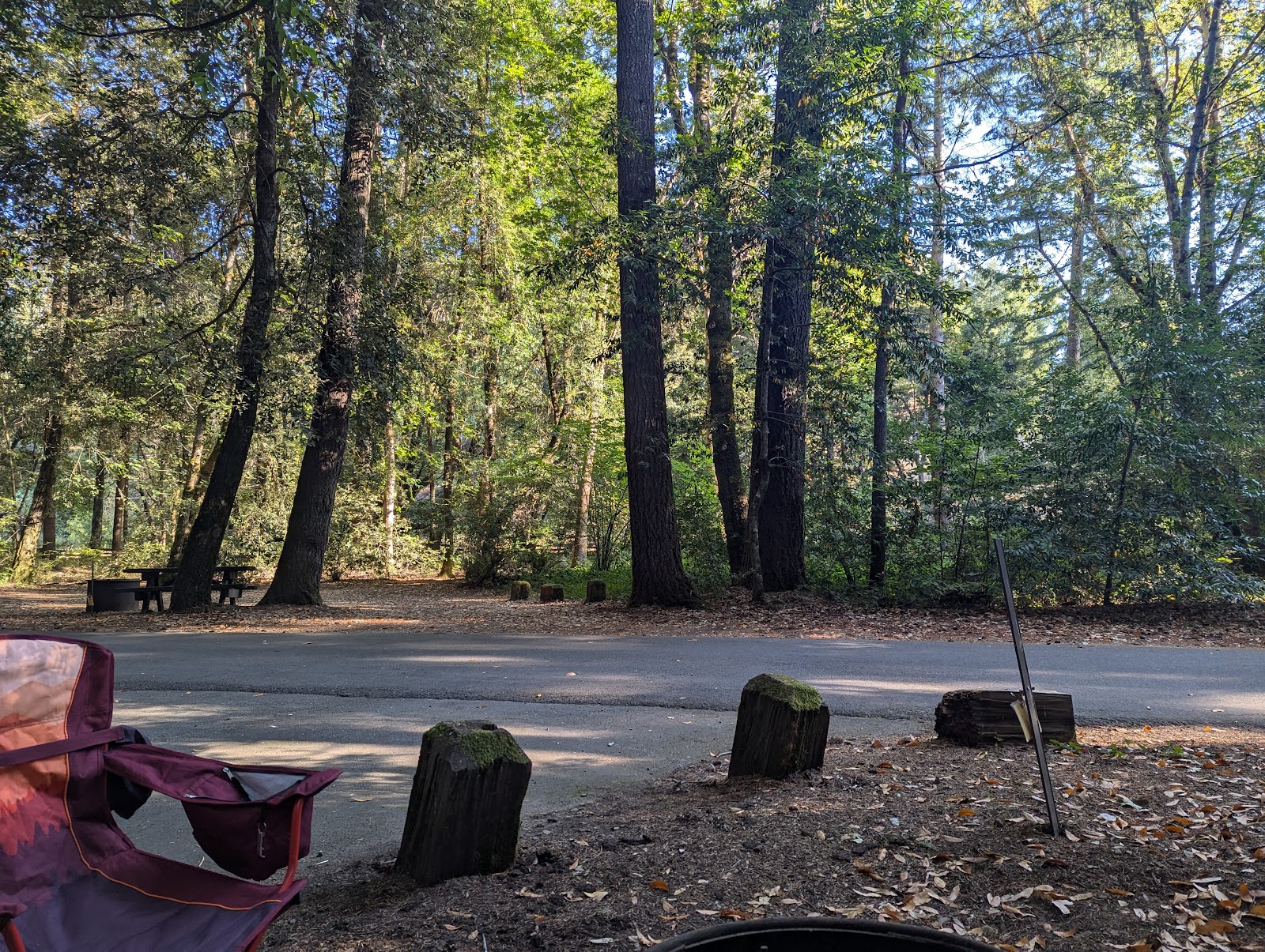 Hickey - Standish-Hickey SRA