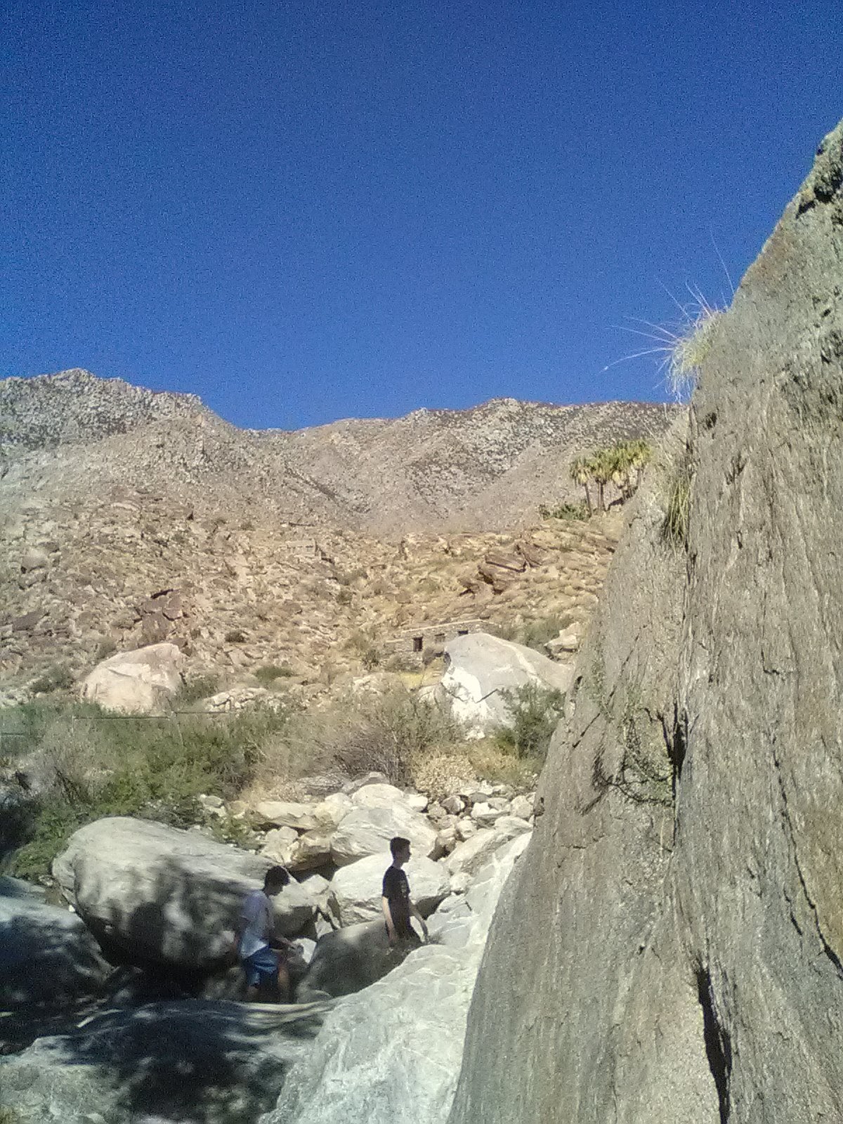 Desert Oasis Mobile Home & RV Resort