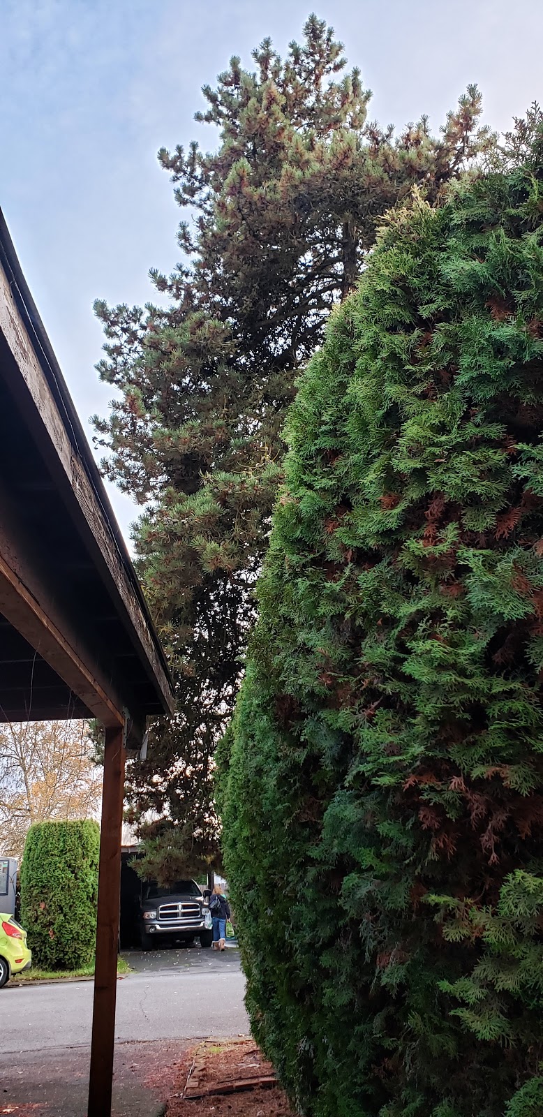 Ash Creek Mobile & RV Park