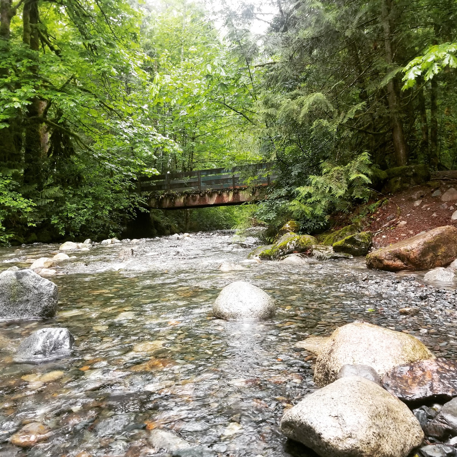 Gold Bar Nature Trails