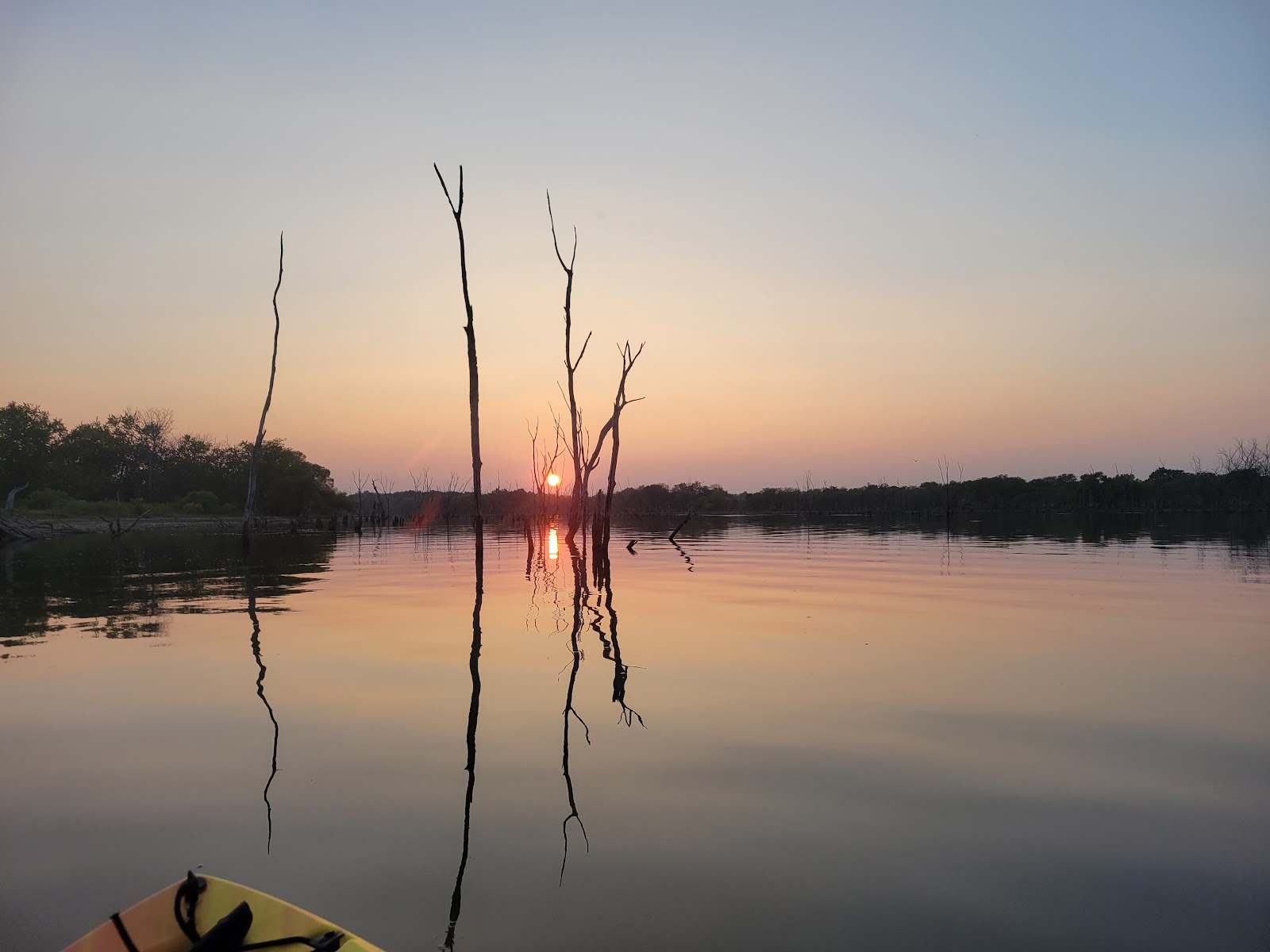Sunflower Campground
