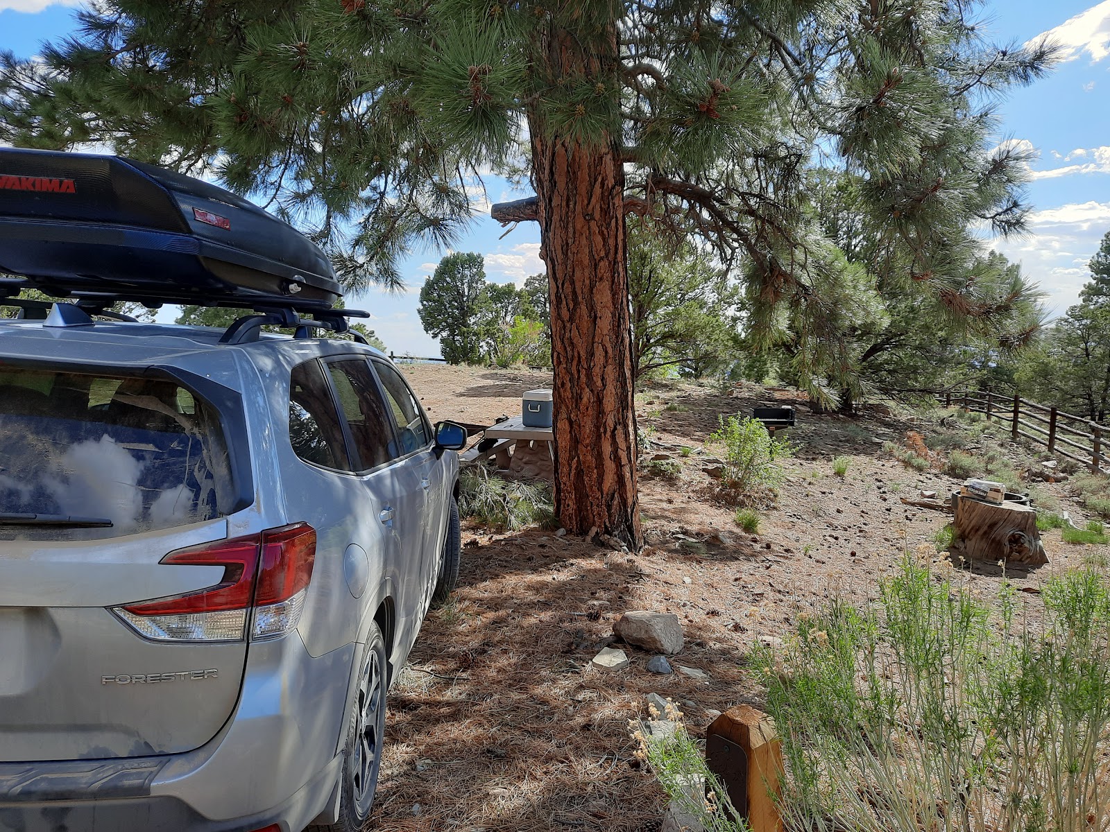 Mcmillan Spring Campground