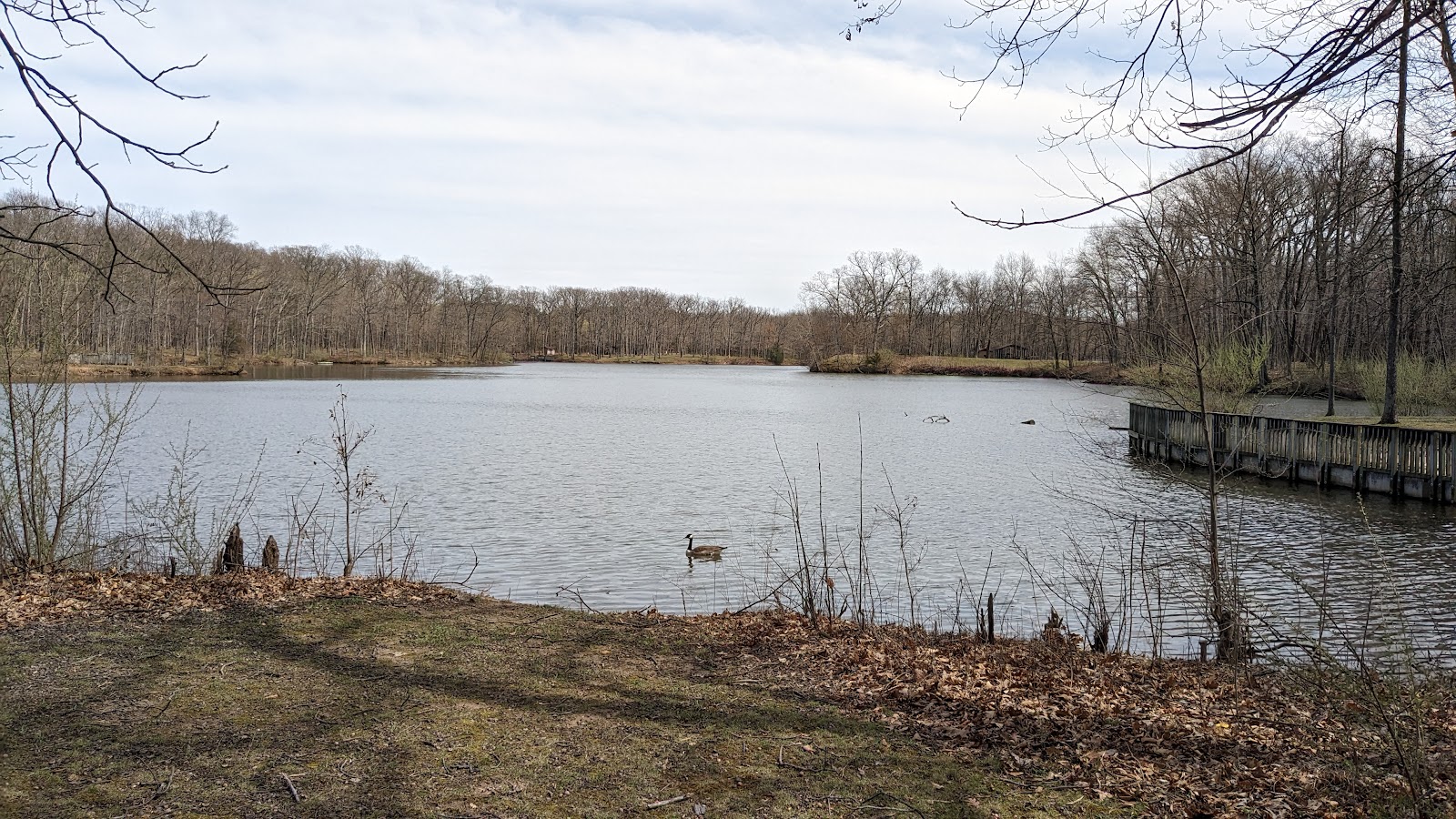 Walnut Point State Park