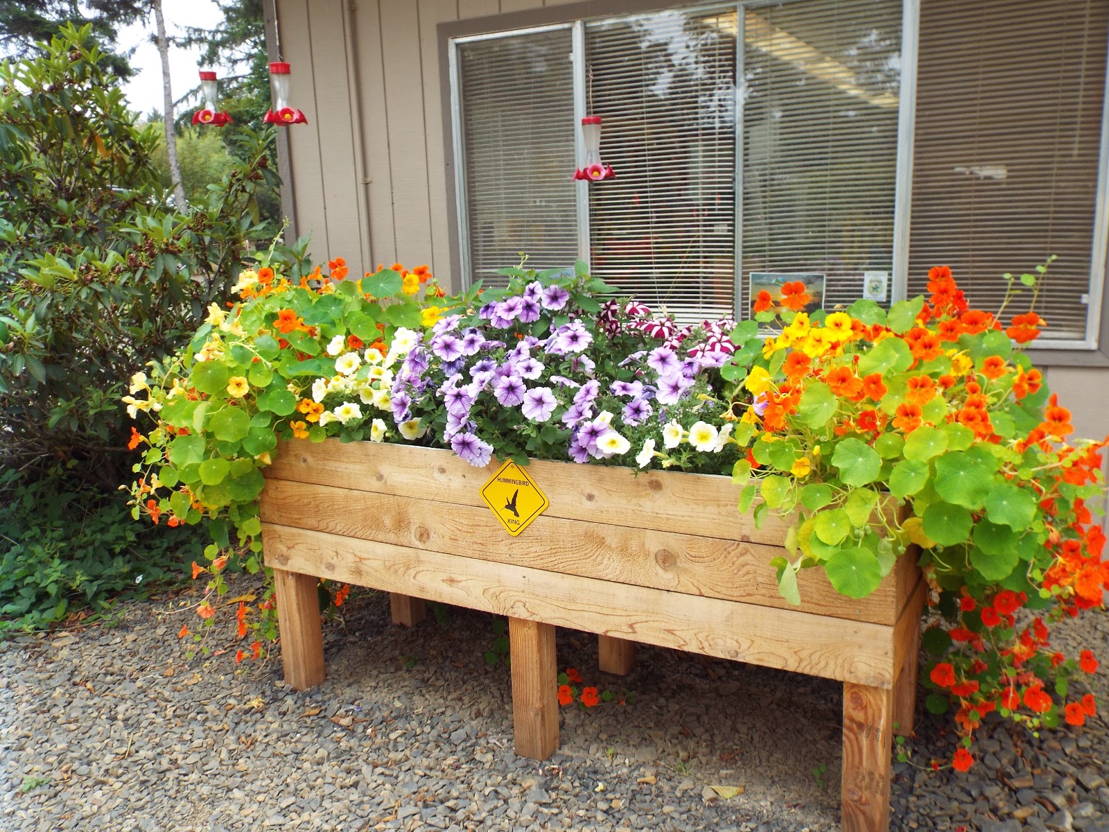 Bay Center-Willapa Bay KOA