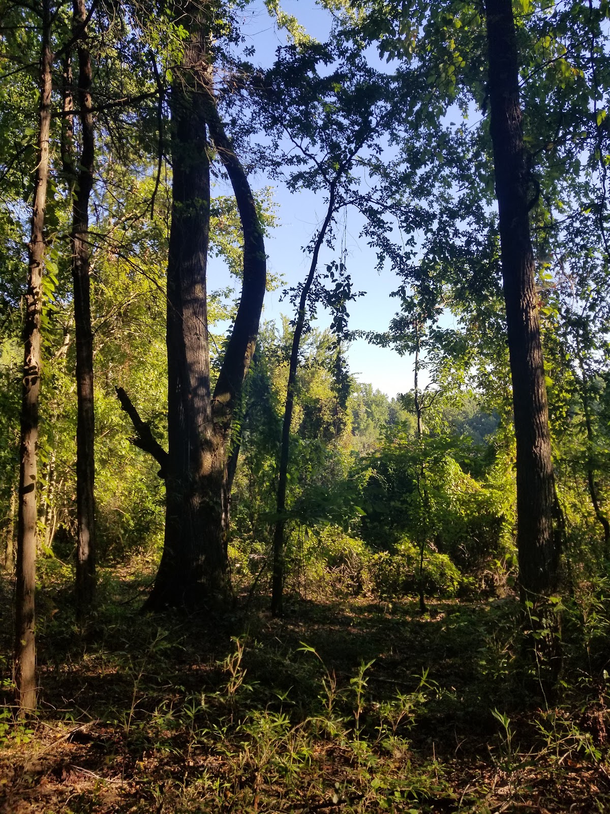 Spadra Creek Nature Trail - College Avenue Trail Head