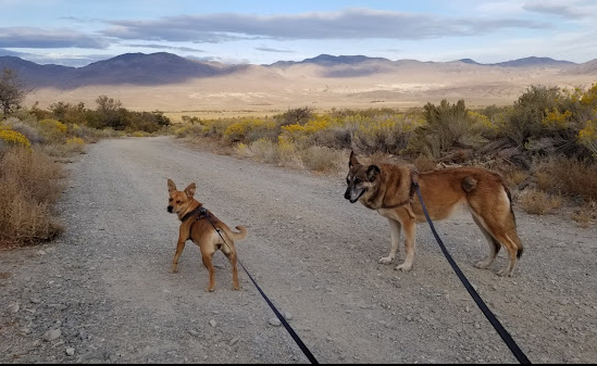Baker Creek County Campground