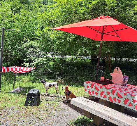 US Stony Fork Campground