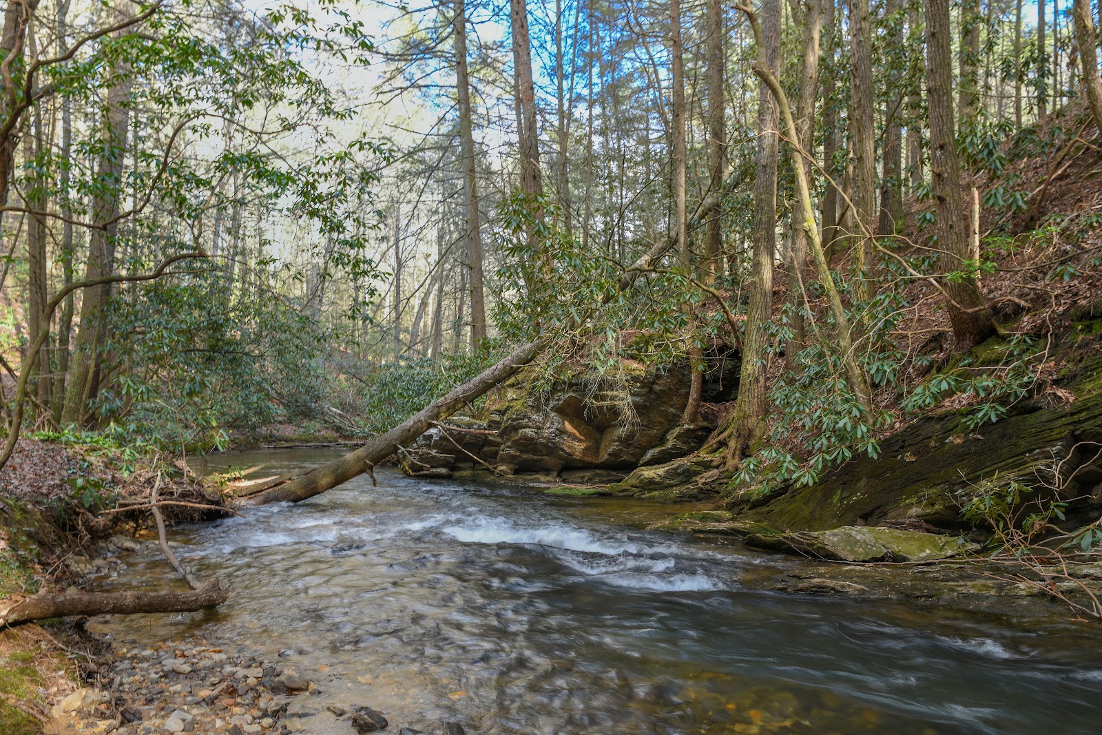 Wildcat Creek Campground