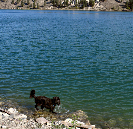 Rexford Bench Campground