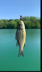 Silver Springs State Fish and Wildlife Area