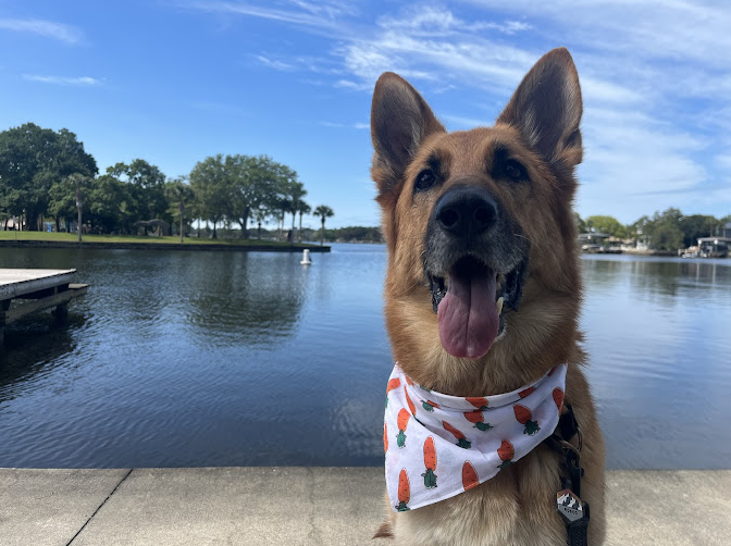 Bayshore Cove Mobile & RV Park