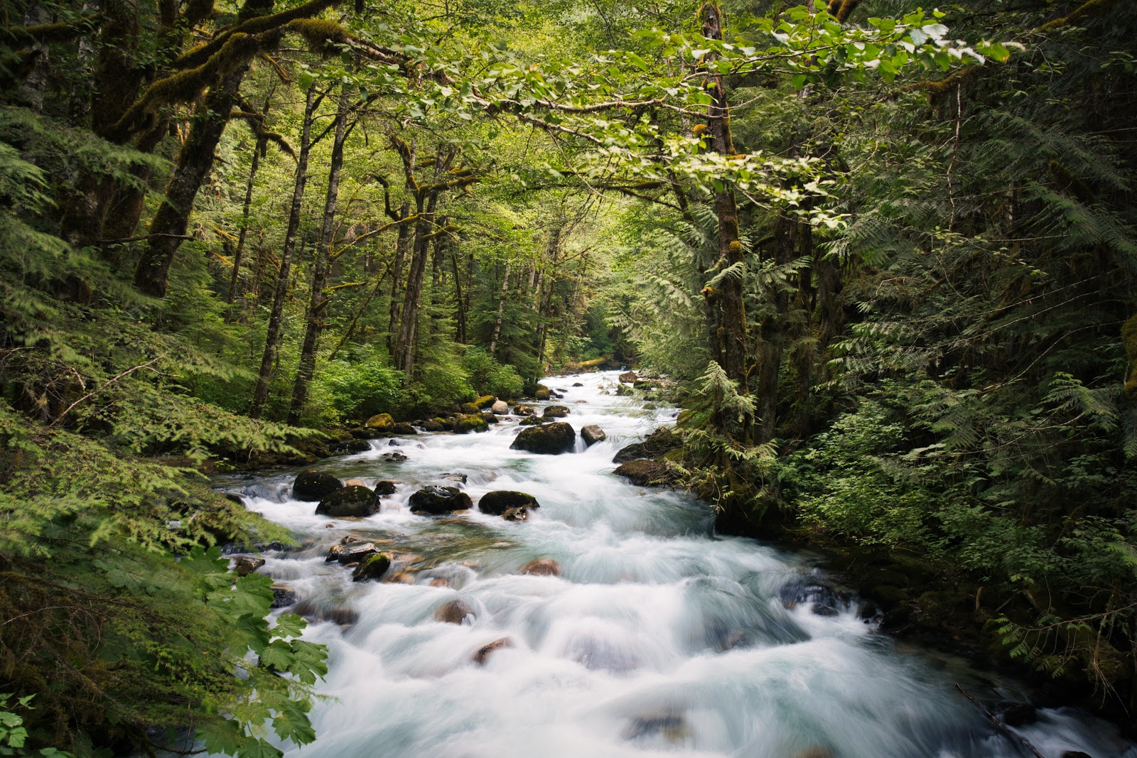 Mineral Park Campground