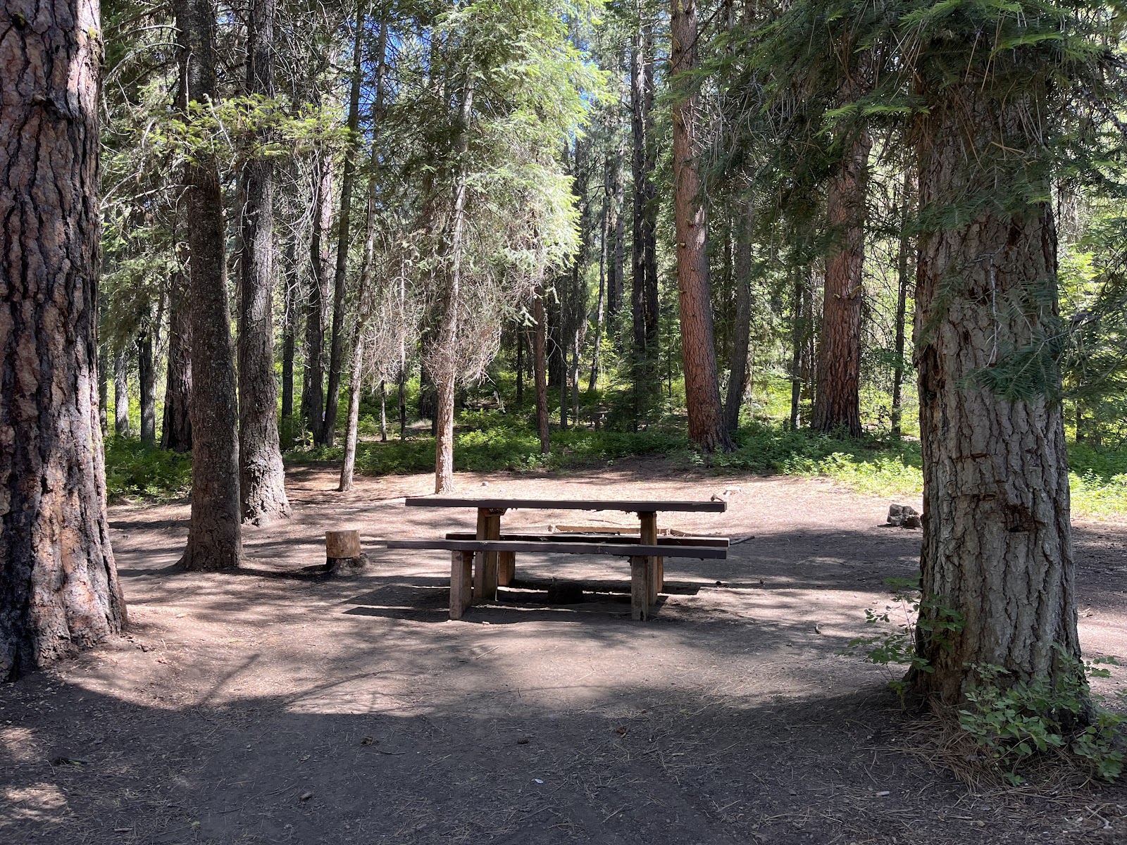 Antelope (Boise National Forest, ID)