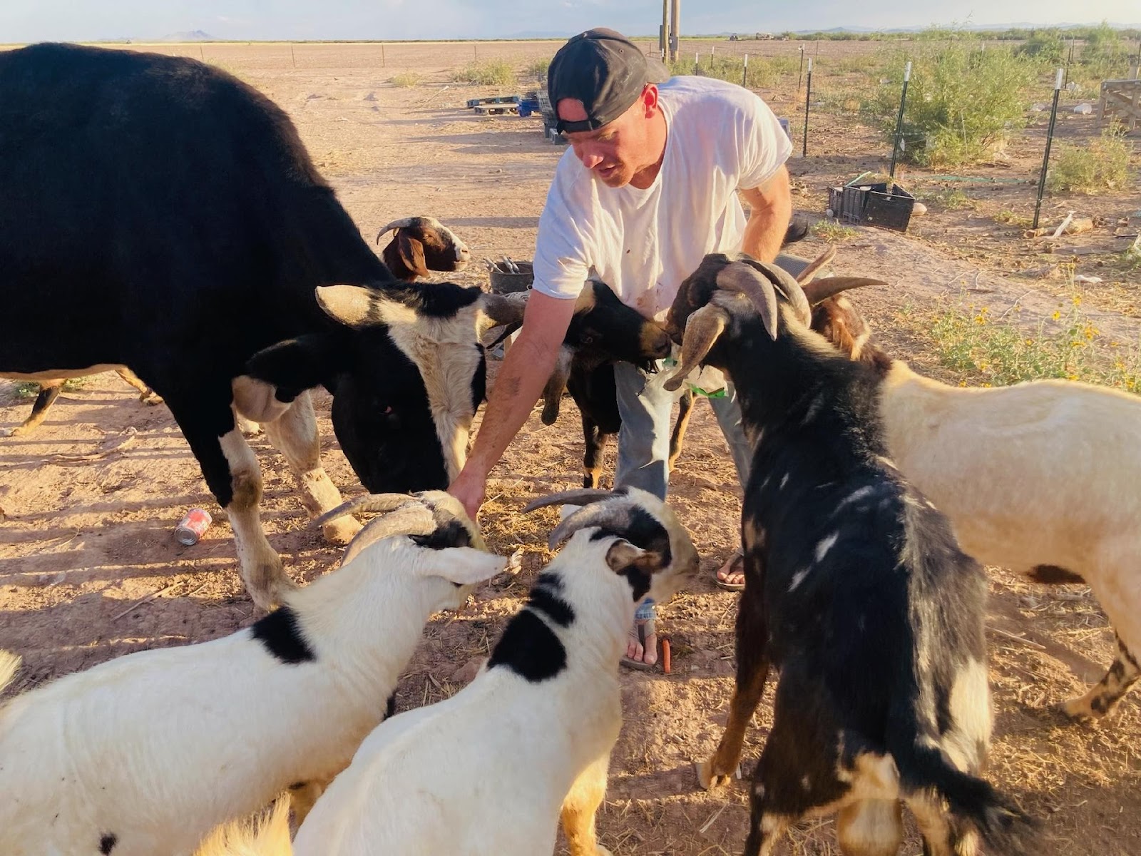 Columbus Best RV Park