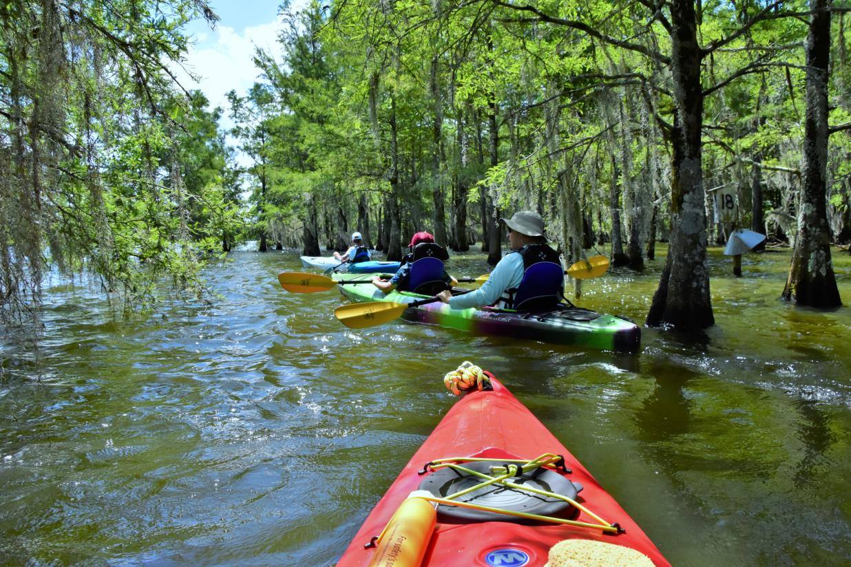 Angel's Landing Campground & Marina