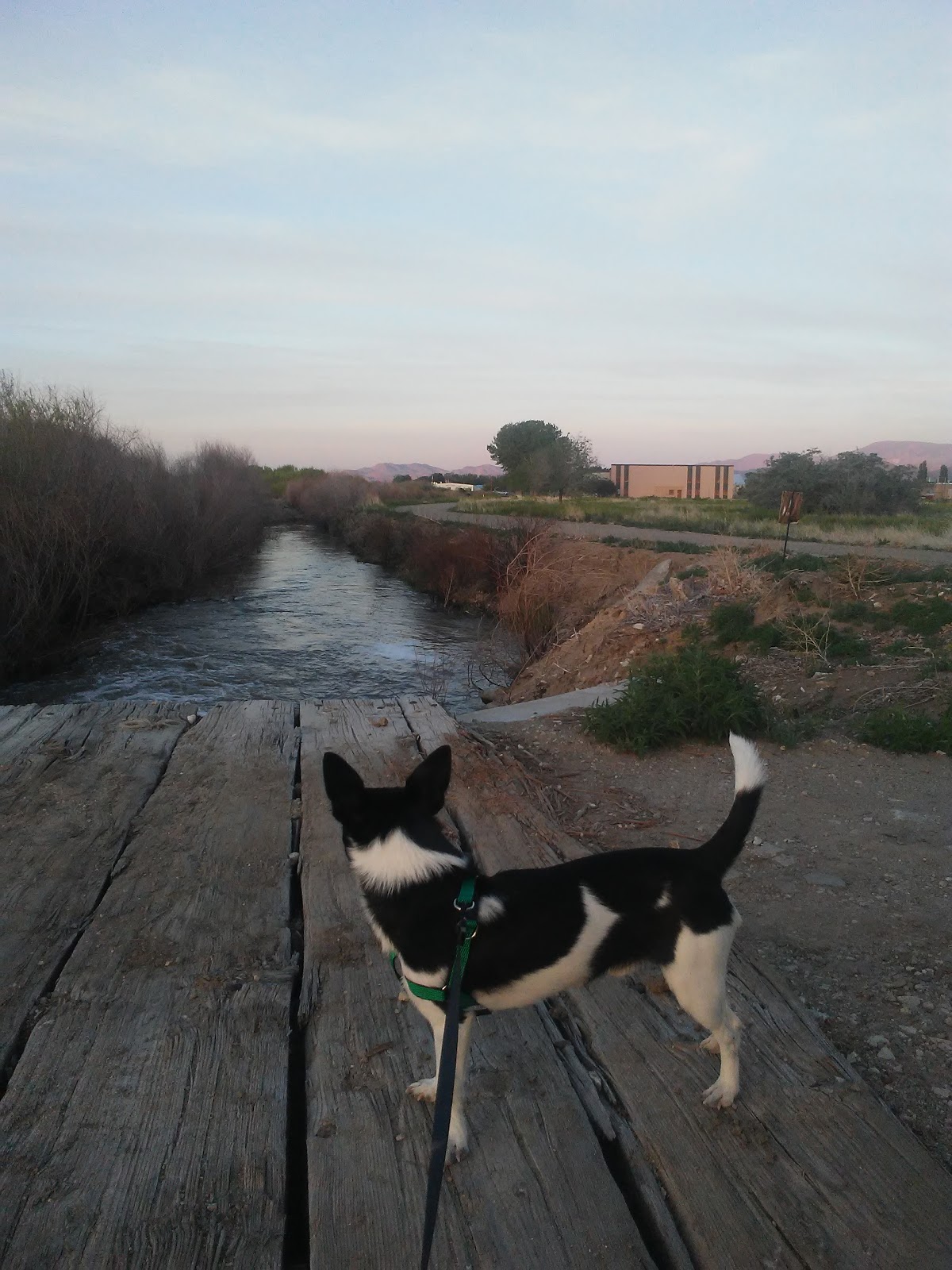 Greenfield RV Park-mhp