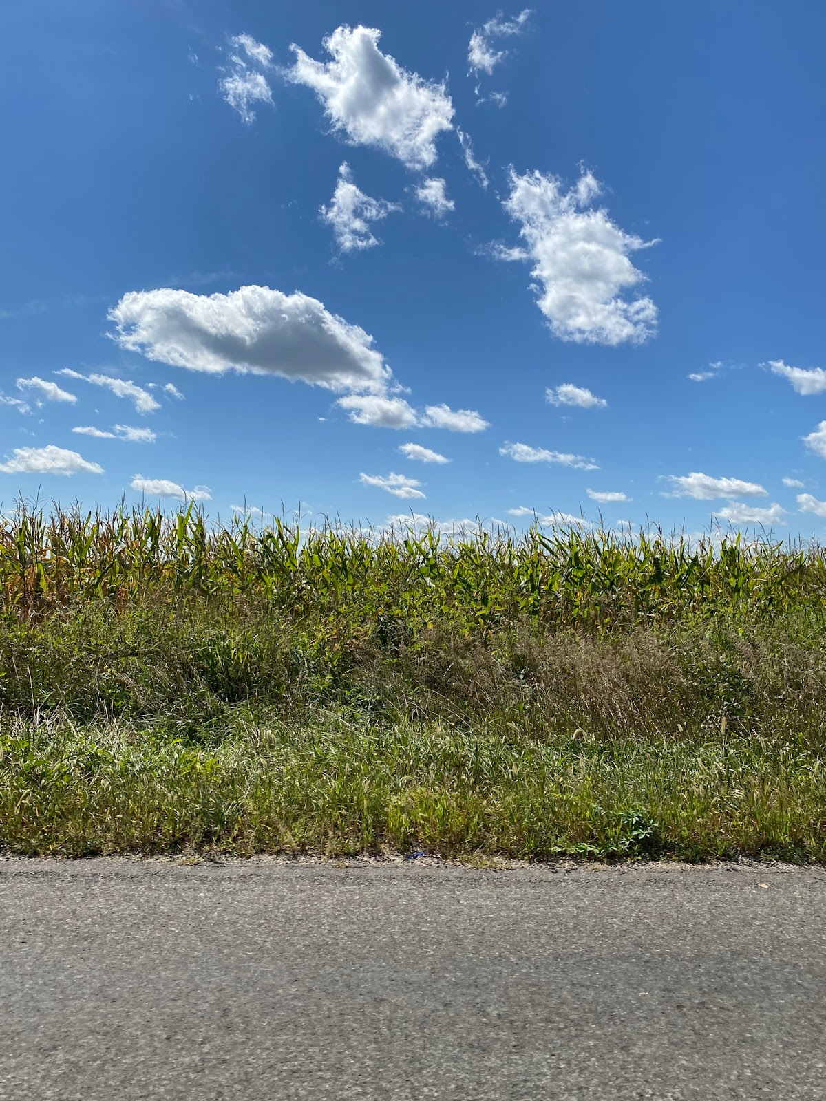 Shipshewana Campground and Amish Log Cabin Lodging