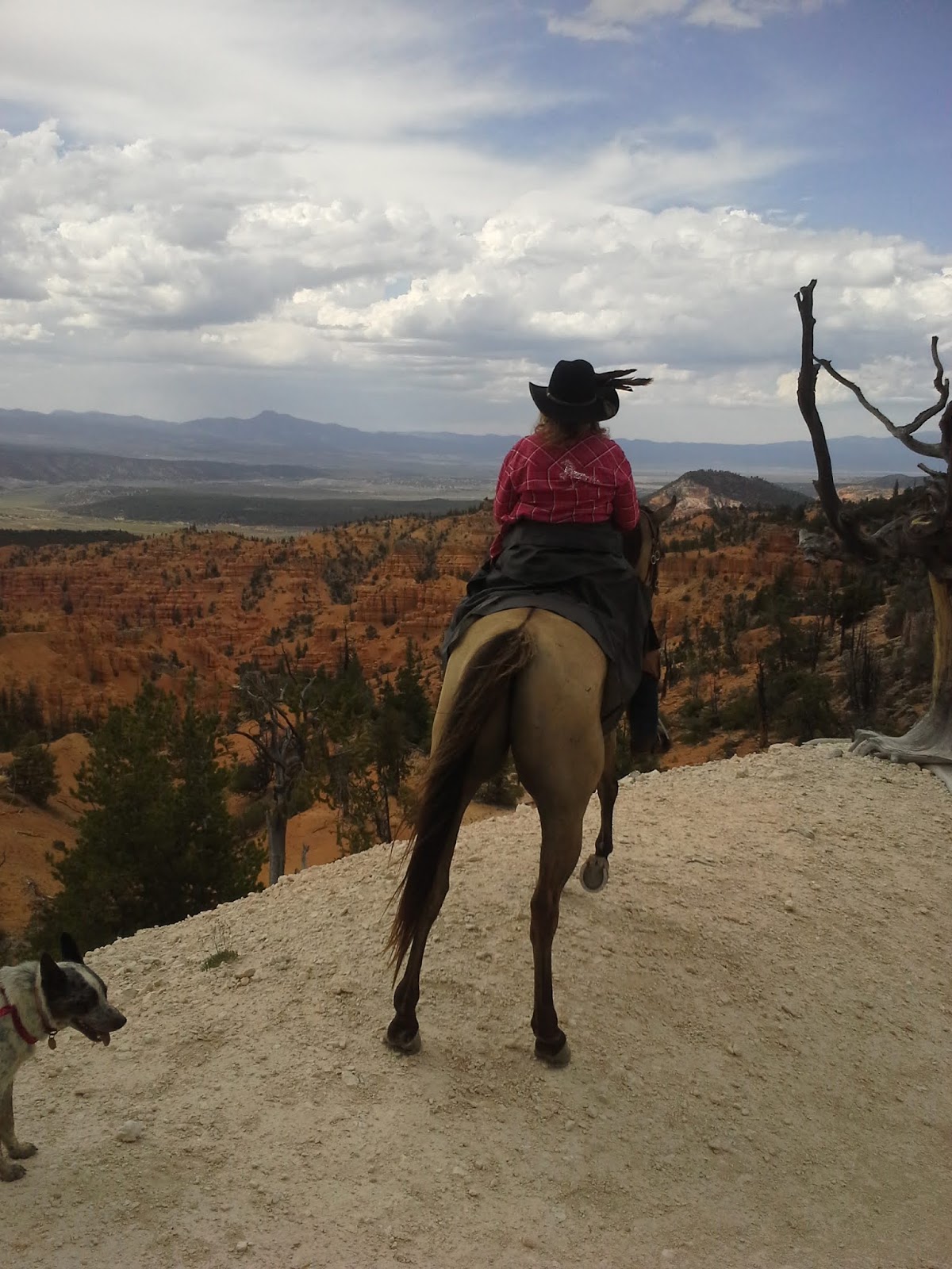 Coyote Hollow Equestrian Campground
