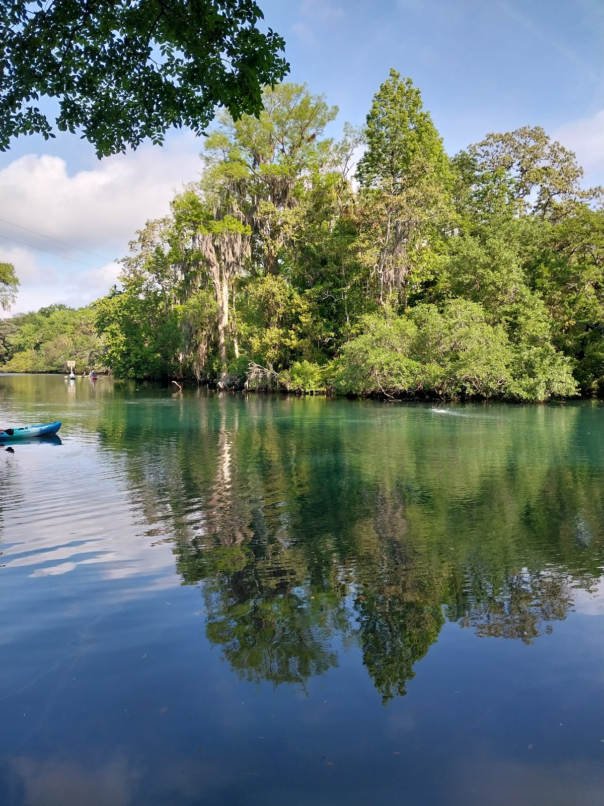 Chassahowitzka River Campground