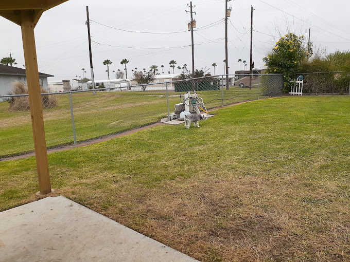 Palm Shadows RV Park
