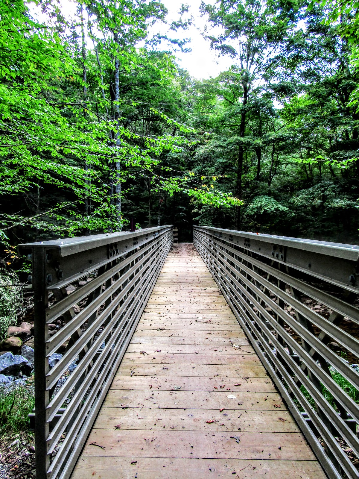 Tea Creek NF Campground