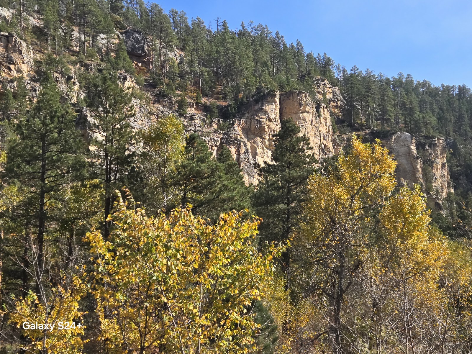 Spearfish Information Center