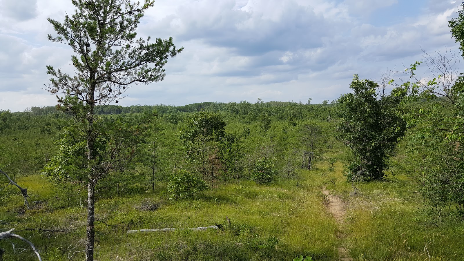Tomahawk Lake SF Campground