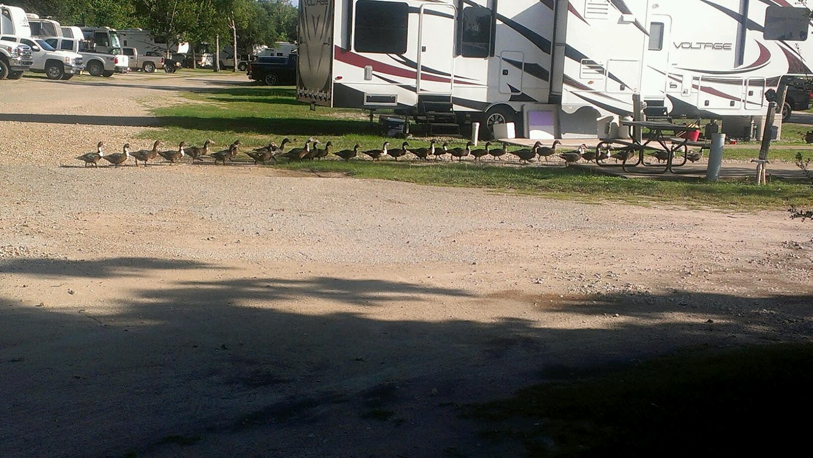 Almost Heaven RV Resort