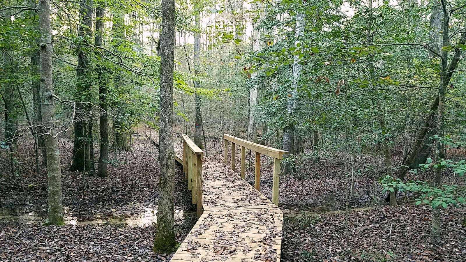 White Oak Lake State Park