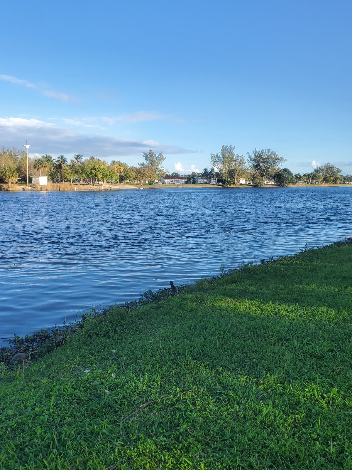 Camping Resort of the Palm Beaches