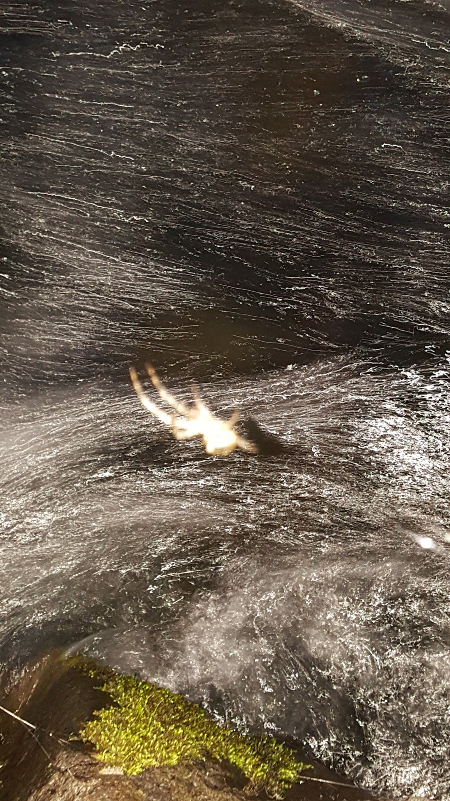 Canton Creek Campground