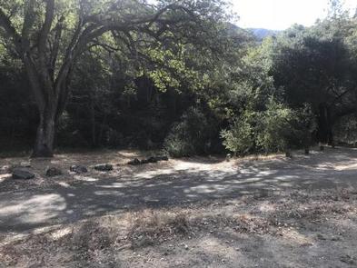 Miranda Pine Campground