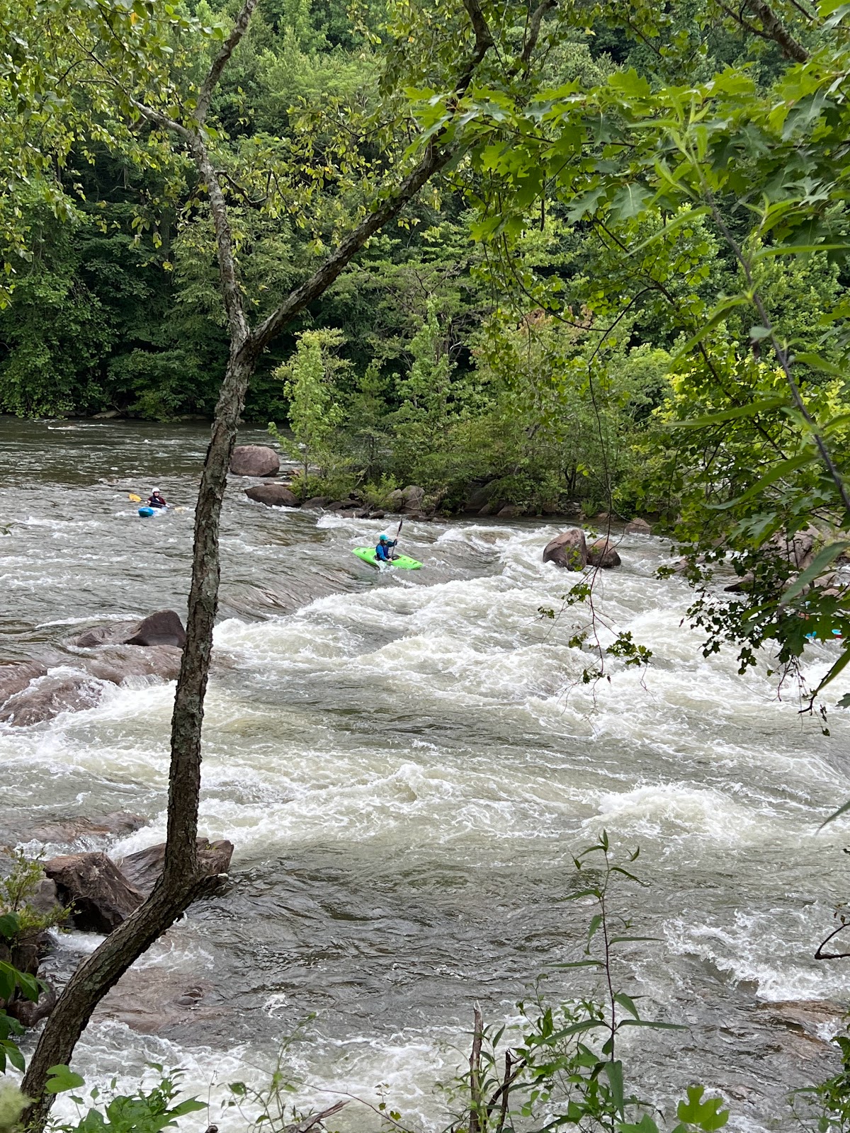 Upper Chattahoochee River Campground