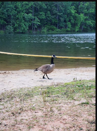 Oak Mountain State Park
