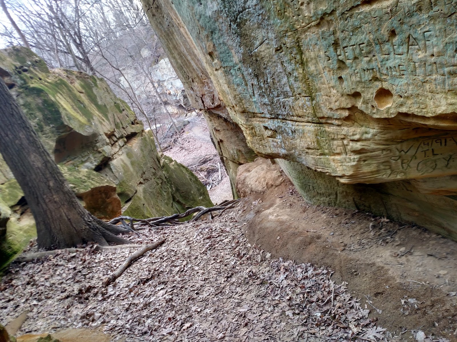 Wildcat Den State Park