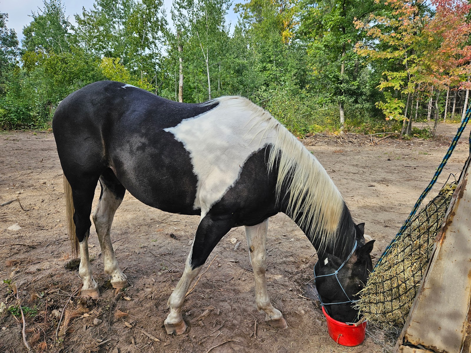 Walter E. Stark Assembly Area