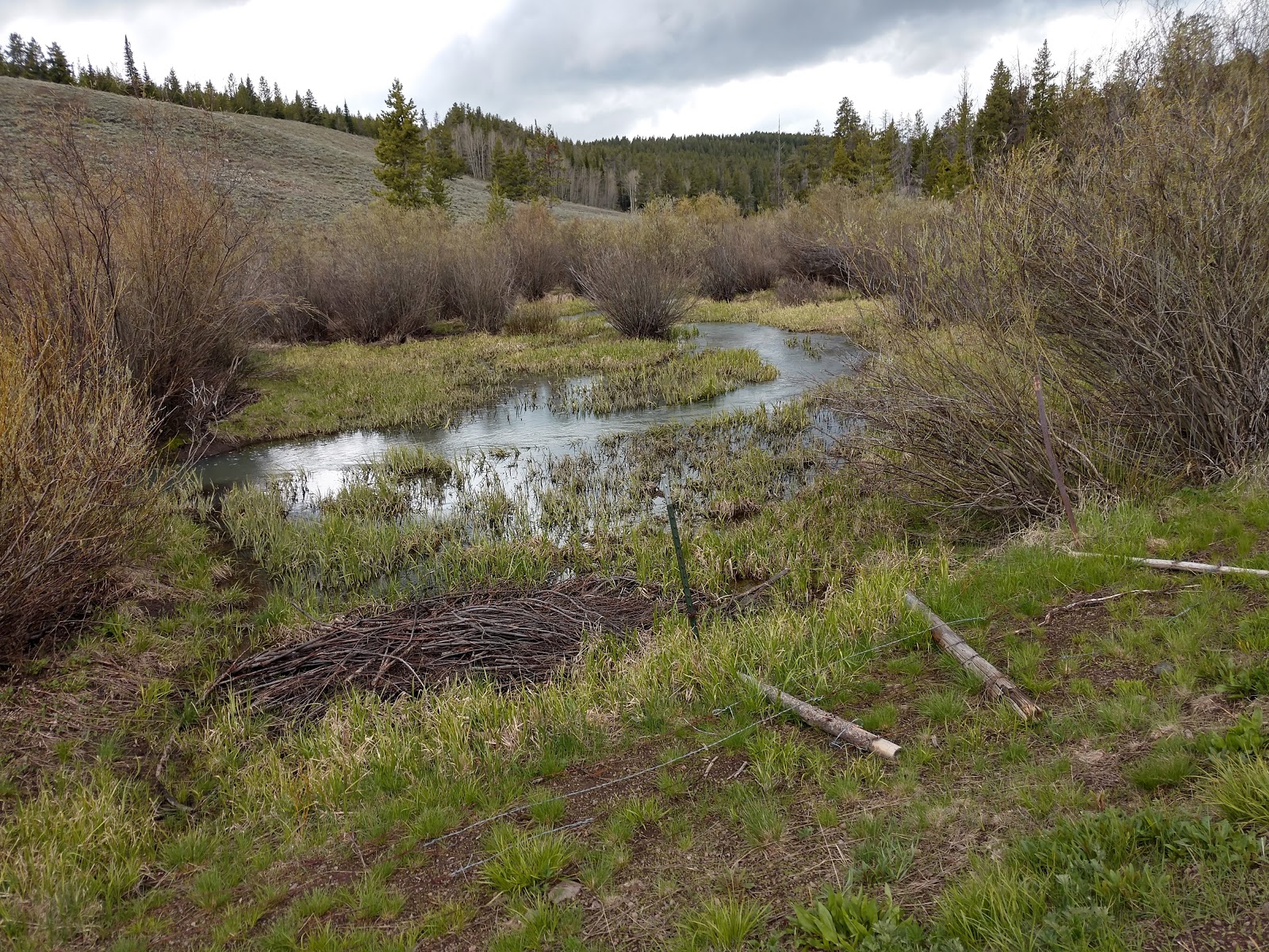 Bostetter Campground