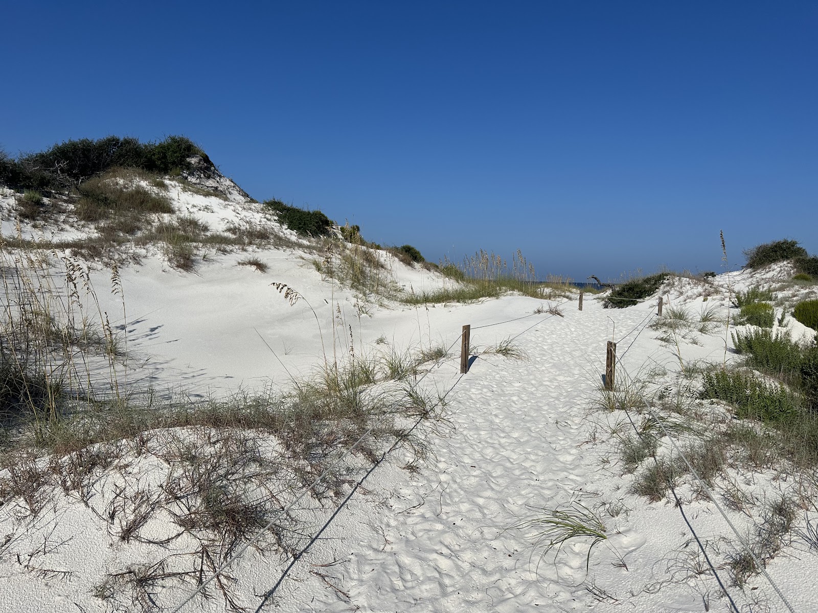 T.H. Stone Memorial ST. Joseph Peninsula State Park