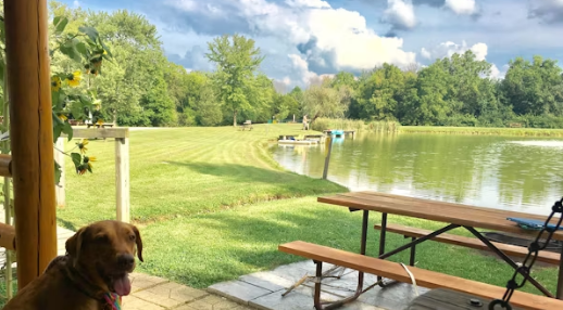 Tailwater Shelter 2 (Brookville Lake)
