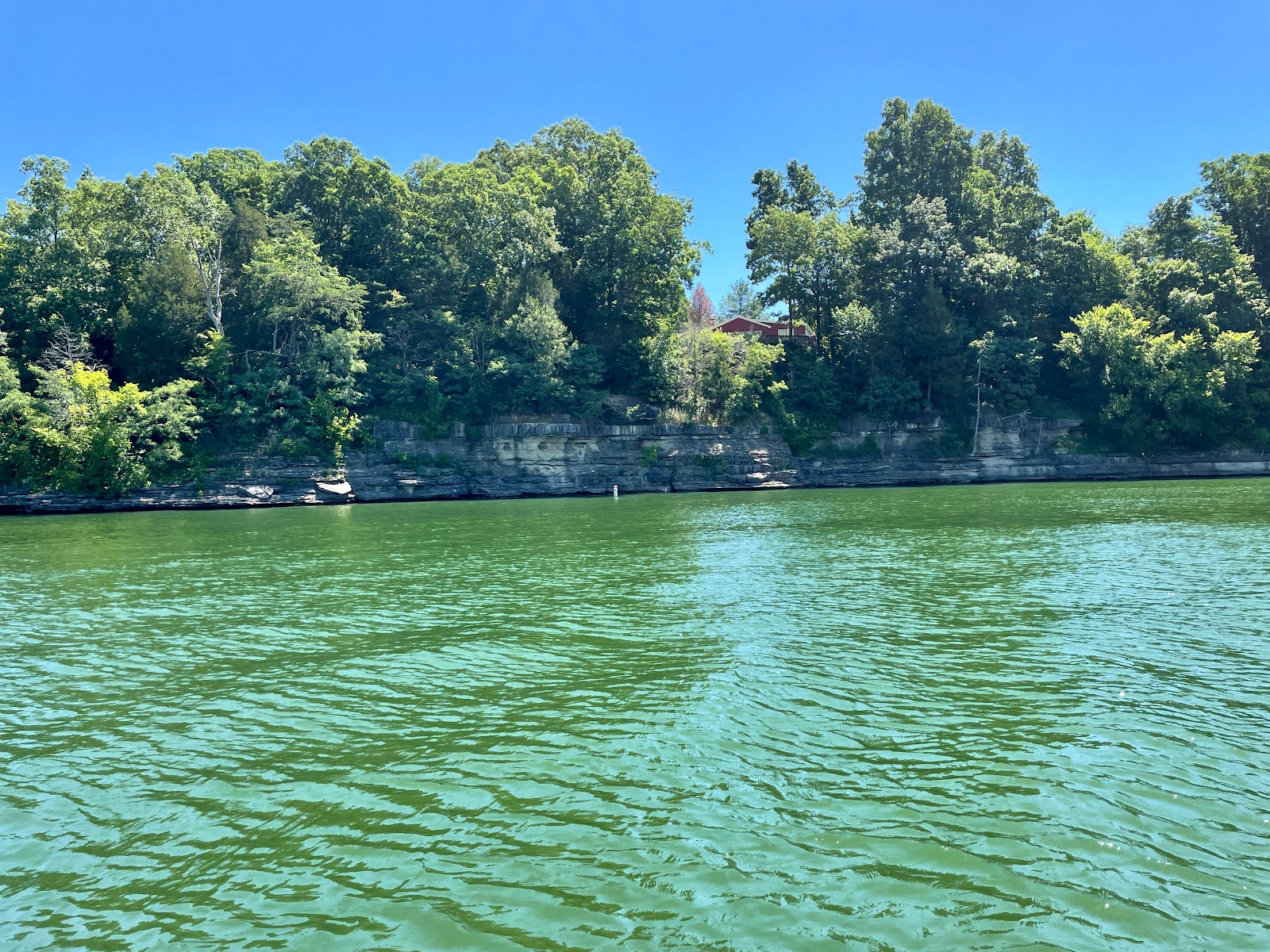 Dog Creek - Nolin River Lake