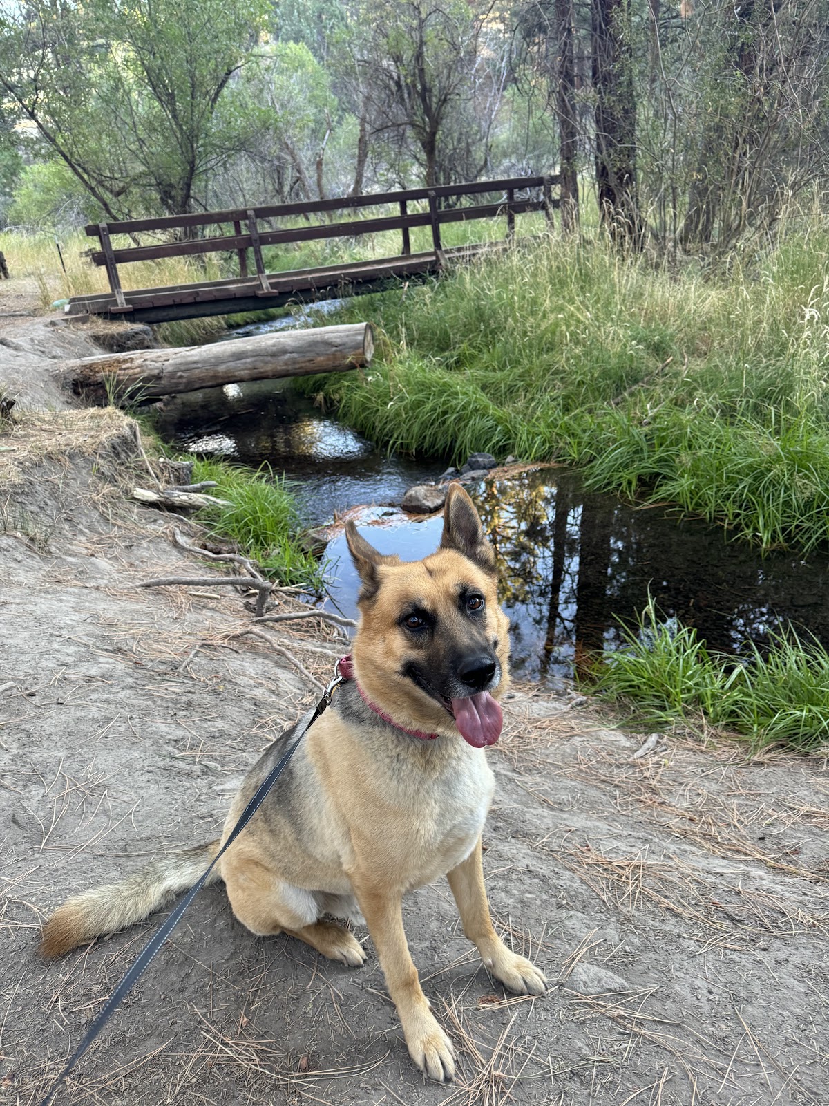 Willow Creek Campground