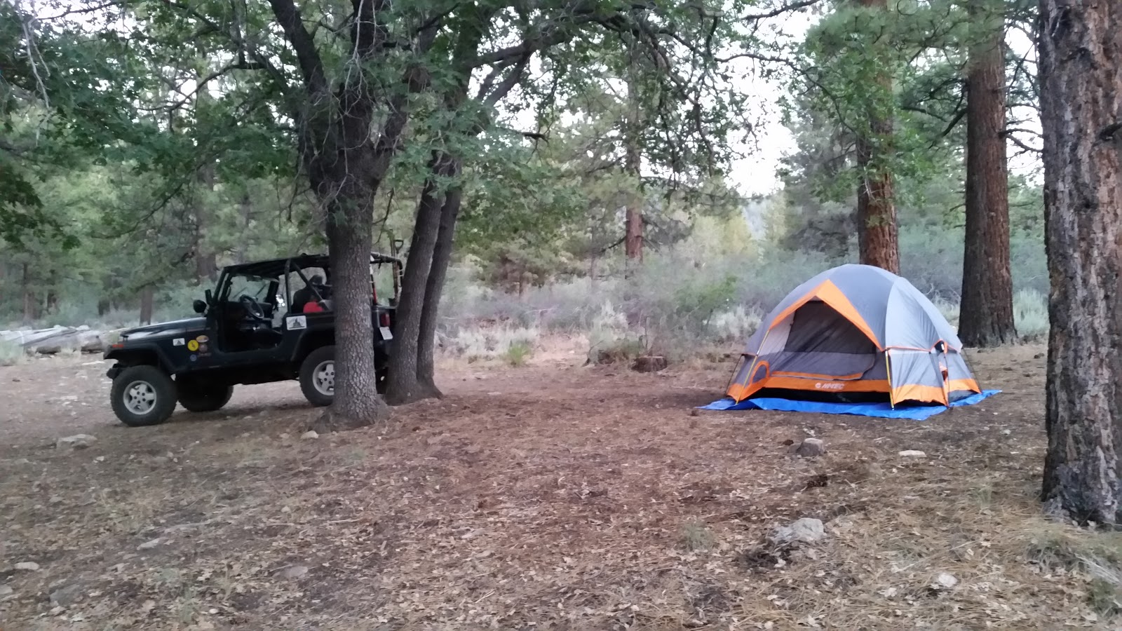 Green Spot Equestrian Group Camp