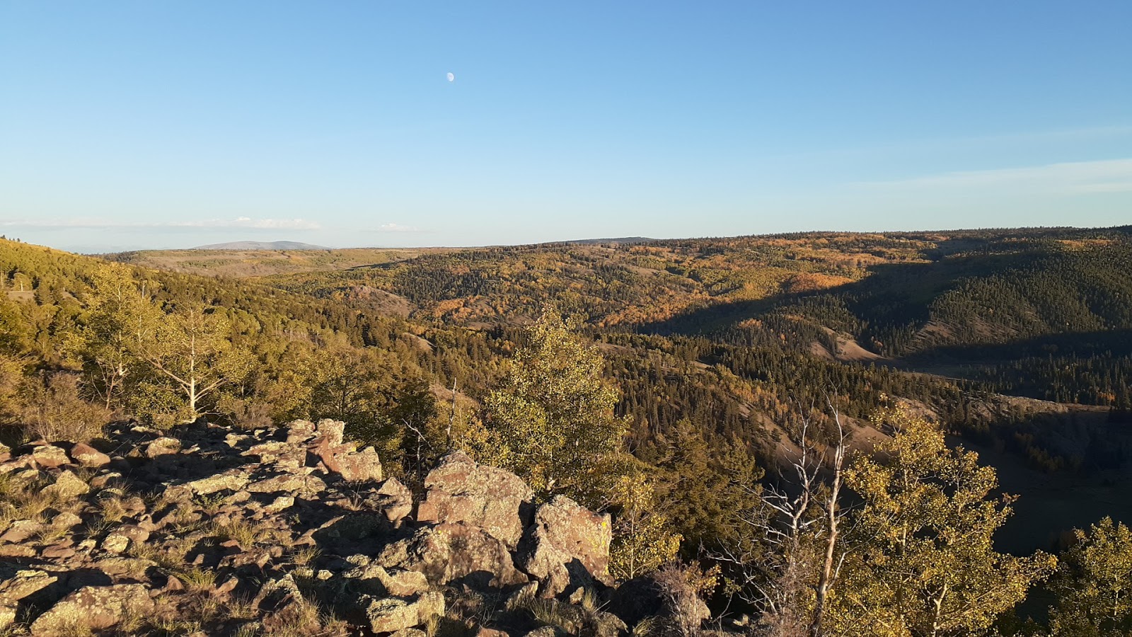 Cruces Basin Campground