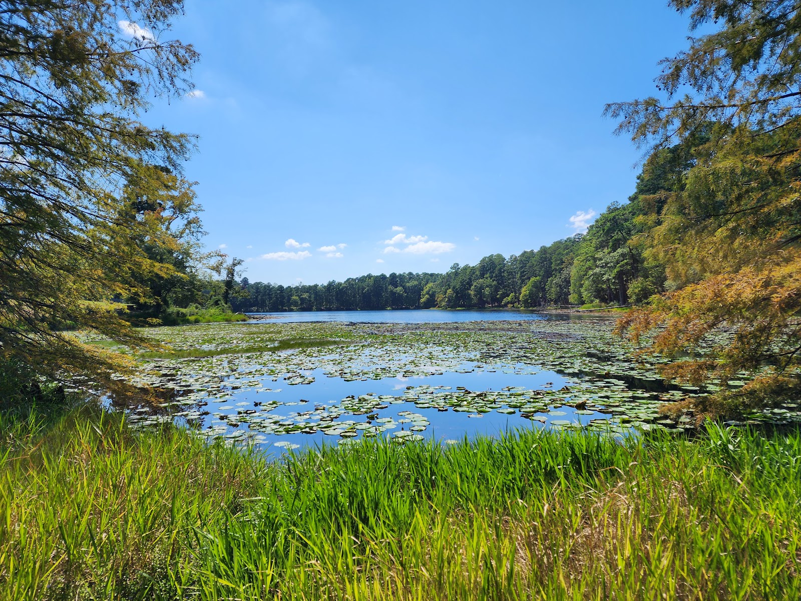 Daingerfield State Park
