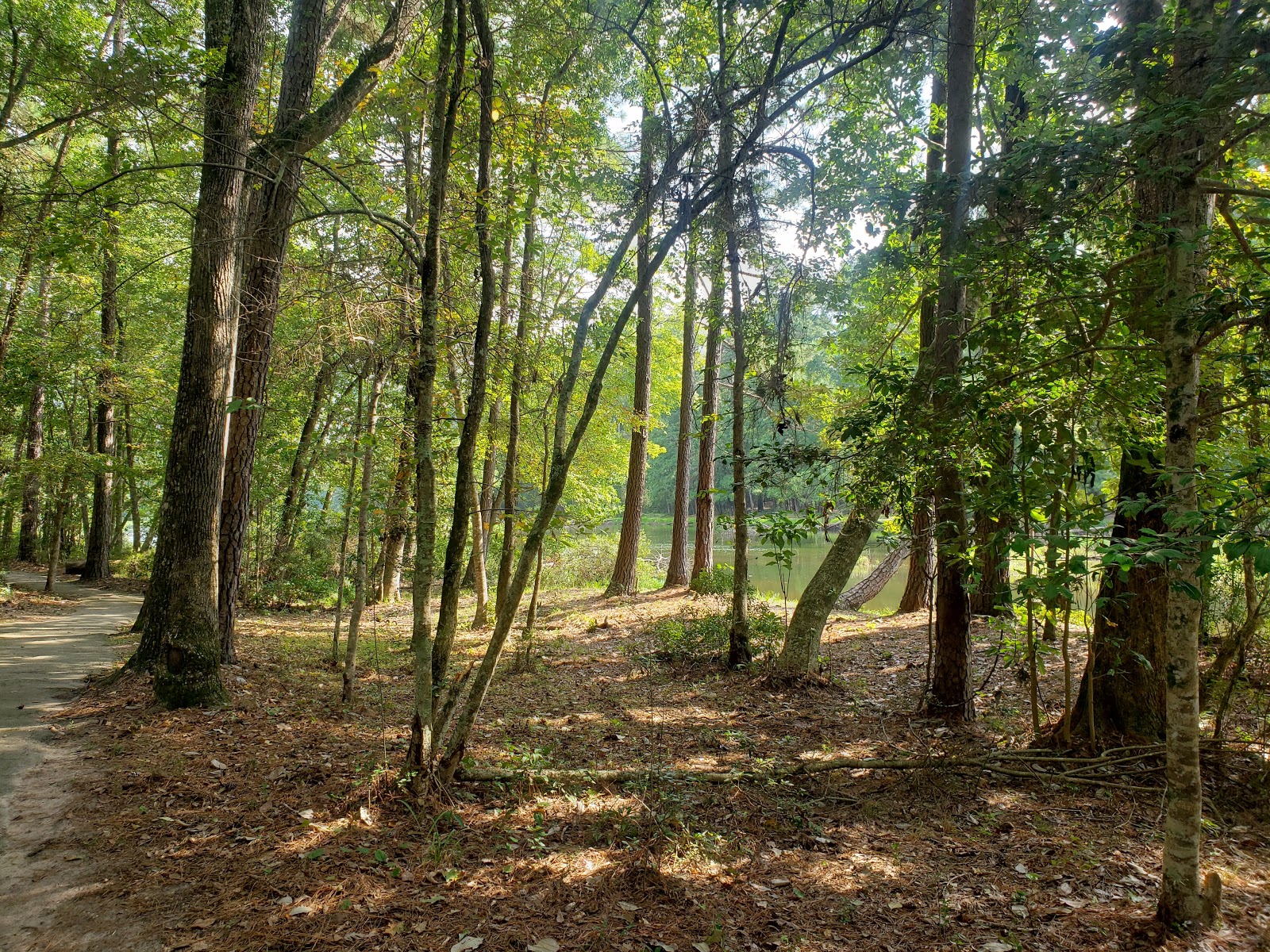 Double Lake NF Campground
