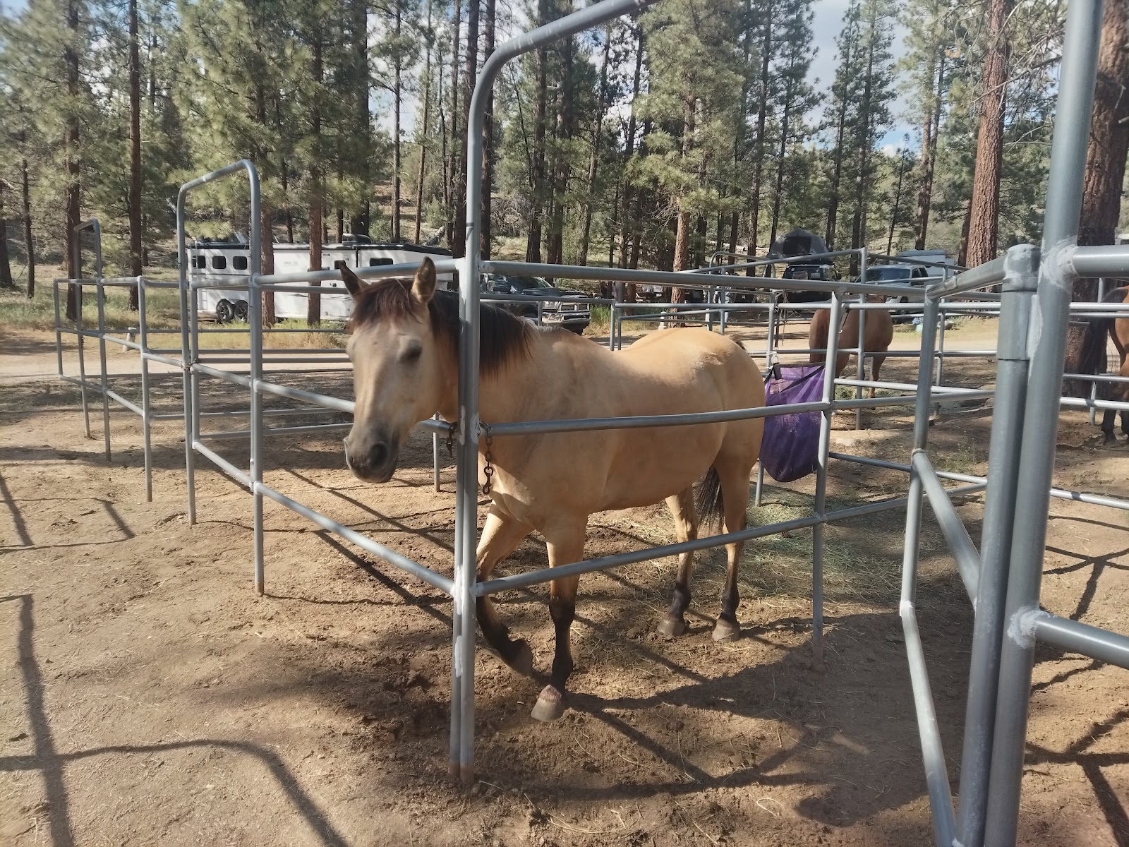 Heart Bar Equestrian Campground
