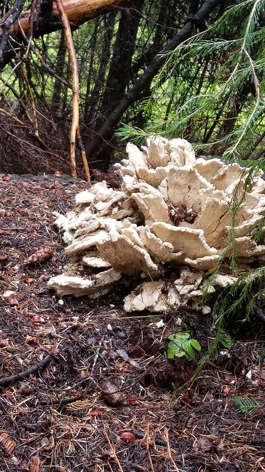 Pleasant Valley Campground