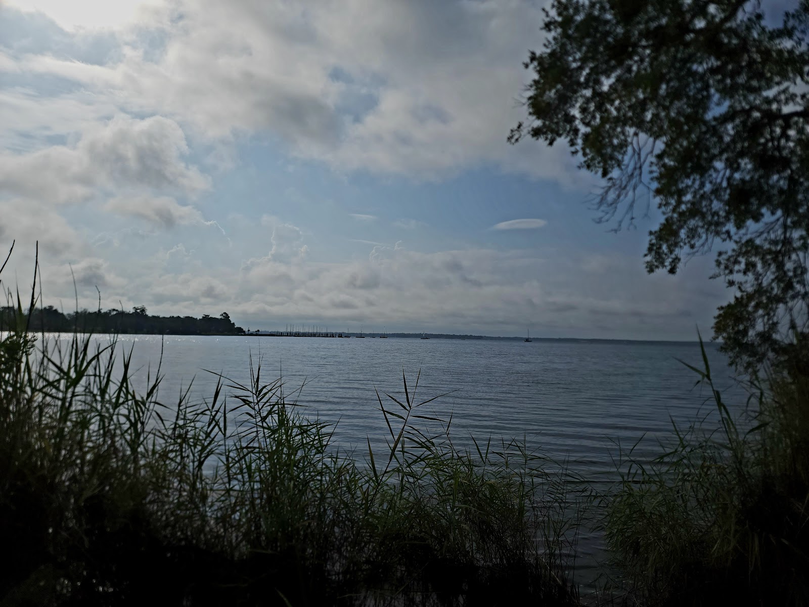 Jacksonville RV Park